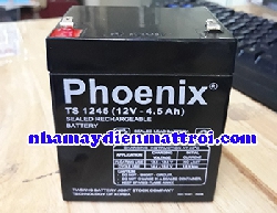 Ắc quy Phoenix 12V-4.5Ah (TS1245) 