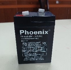 Ắc quy phoenix 6V-5Ah TS650