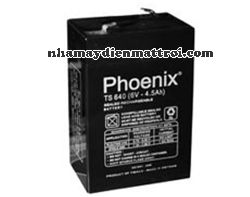 Ắc quy Phoenix 6V-4.5Ah (TS645) 